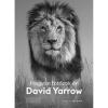  David Yarrow - Hogyan fotózok én - David Yarrow