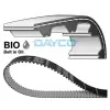 Dayco Fogasszíj 941080