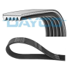 Dayco Hosszbordás szíj DAYCO 5PK1815