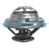 Dayco termosztát, hűtőfolyadék DT1042V