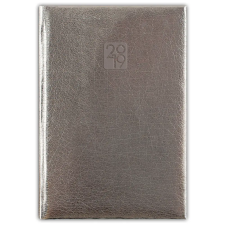 DAYLINER Mirror, A5 heti beosztású agenda, Ezüst határidőnapló