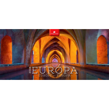 DAYLINER Naptár, asztali, álló, DAYLINER Európa (NAS4001U) naptár, kalendárium