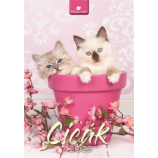 DAYLINER Naptár, fali, DAYLINER, "Cicák" naptár, kalendárium