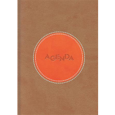 DAYLINER Naptár, tervező, A5, napi, DAYLINER Central, barna-narancs (NCEA5BNU) határidőnapló