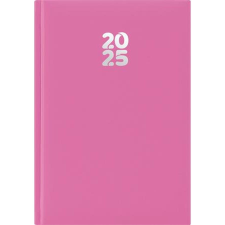 DAYLINER Naptár, tervező, A5, napi, DAYLINER, "Pannon", fuchsia határidőnapló