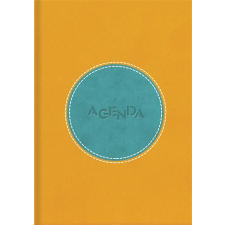 DAYLINER Naptár, tervező, A5, napi, DAYLINER "Central", sárga-türkiz határidőnapló