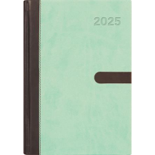 DAYLINER Naptár, tervező, A5, napi, DAYLINER "Winner", menta határidőnapló