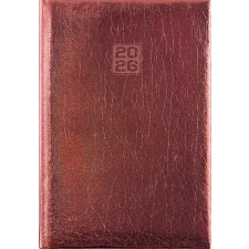 DAYLINER Naptár, tervező, B6, heti, DAYLINER, Mirror, bronz (NMHB6BRU) határidőnapló