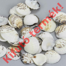 DC Cirmos fehér kagyló 2,5 - 3,5cm 10 dkg / csomag dekorációs kellék