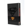 DC Comics ABSOLUTE DEATH OF SUPERMAN | STERN ROGER