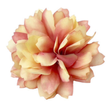 DC Kerti szegfű cirmos púder dekorációs kellék