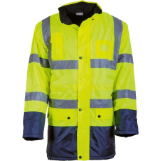 Declan 4661 Apollo citrom
