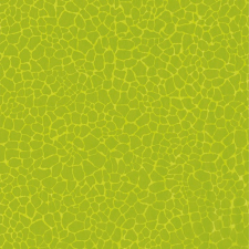 Decopatch Kreatív decoupage papír Clairefontaine Décopatch 30x40 cm ref.531 kreatív papír