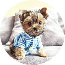  Dekorációs ostya - Yorkshire Terrier kölyök sütés és főzés