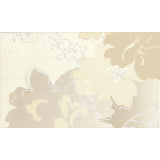  Delicate Beige A INSERTO  30 x 50 csempe