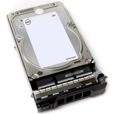 Dell 12TB 7.2k SAS HDD 3.5" Hot-Plug 161-BCJX merevlemez, ssd