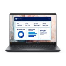 Dell Pro 13 Premium (BTO203_PA13250_EMEA) laptop