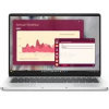 Dell Pro 14 (Platinum Silver) | Intel Core Ultra 7 265U | 8GB DDR5 | 1000GB SSD | 0GB HDD | 14" matt | 1920X1200 (WUXGA) | INTEL Graphics | W11 HOME