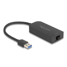 DELOCK A-típusú USB adapter 2,5 Gigabit LAN kábel és adapter