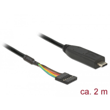 DELOCK átalakító USB Type-C 2.0 apa TTL 5 V-os 6 tűs fejlécre, 6 tűs fejléc, anya 2,0 m kábel és adapter