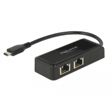 DELOCK Delock Adapter SuperSpeed USB (USB 3.1 Gen 1) USB Type-C csatlakozódugóval &gt; 2 x Gigabit LAN 10/100 kábel és adapter