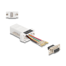 DELOCK Delock D-Sub 9-tűs anya RJ45 anya összekötő adapter fehér kábel és adapter