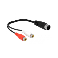 DELOCK DIN Cable diode plug 5 pin to 2 x RCA female 20 cm (85835) kábel és adapter
