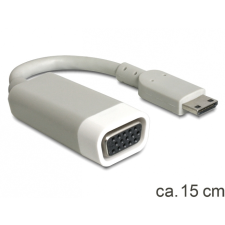 DELOCK HDMI-mini C apa > VGA anya adapter kábel és adapter