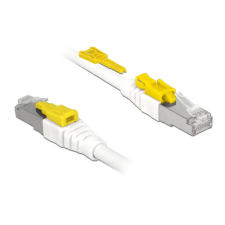 DELOCK Kábel 1 m-es RJ45 Secure csatlakozós Cat.6A (85331) (85331) kábel és adapter