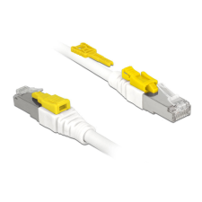 DELOCK Kábel 2 m-es RJ45 Secure csatlakozós Cat.6A kábel és adapter