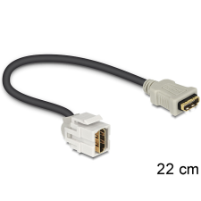 DELOCK Keystone modul HDMI anya > HDMI anya 250 kábellel kábel és adapter