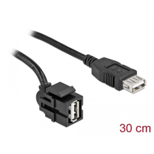 DELOCK Keystone modul, USB 2.0 A-csatlakozóhüvely 250 &gt; USB 2.0 A-csatlakozóhüvely, kábellel fekete egyéb hálózati eszköz