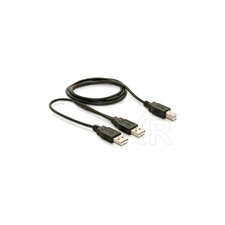 DELOCK USB 2.0 A-B Y-kábel 1m kábel és adapter