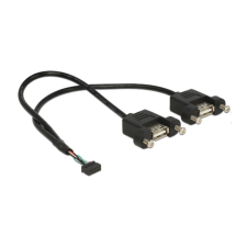 DELOCK USB Kabel Pinheader 10Pin -> 2x A Bu/Bu 0.25m (84832) kábel és adapter