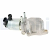 DELPHI AGR-szelep EG10660-12B1