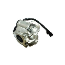 DELPHI kipufogógáz agr-szelep autóalkatrész