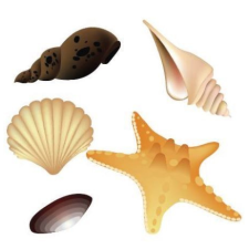 Demeter Group MT037 öntapadós fürdőszobai csempematrica 4db/szett15x15cm tapéta, díszléc és más dekoráció