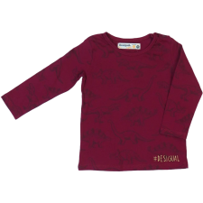 Desigual Fiú Hosszú ujjú felső (Méret: 86) gyerek póló
