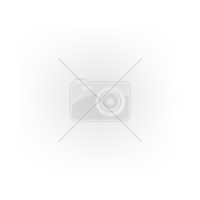 Devolver Digital Serious Sam 3: BFE (PC - Steam Digitális termékkulcs) videójáték