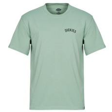 DICKIES Rövid ujjú pólók DICKIES SNAKE SS TEE Zöld EU XXL