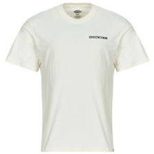 DICKIES Rövid ujjú pólók LANDASCAPE SS TEE Fehér EU M férfi póló