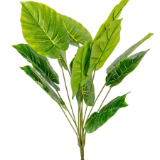  Diffenbachia bokor 11ágú M54cm 24db/# dekorációs kellék