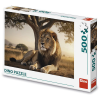 Dino Pihenő oroszlán, 500 darabos