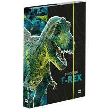 Dinoszaurusz füzetbox A/4, T-REX, zöld-fekete füzetbox