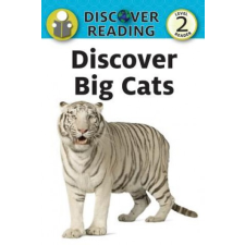  DISCOVER BIG CATS – Katrina Streza idegen nyelvű könyv