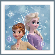 Disney Jégvarázs 30x30cm törölköző BRM016200 lakástextília