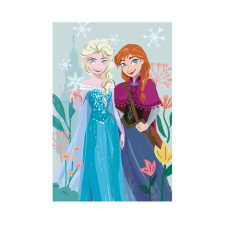 Disney Jégvarázs polár takaró 100*150cm lakástextília