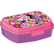 Disney Minnie Disney Minnie Bold Florals funny műanyag szendvicsdoboz uzsonnás doboz