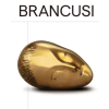 DISTANZ Verlag GmbH Constantin Brancusi | Klaus Biesenbach