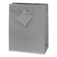  Dísztasak CREATIVE Special Simple M 18x23x10 cm egyszínű ezüst zsinórfüles ajándéktasak